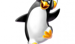 企鹅动漫,萌动青春，绘梦未来